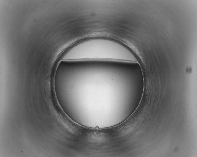 X0000091860535200709050959