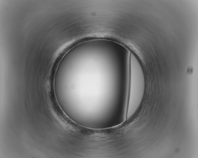 X0000091860536200709050959