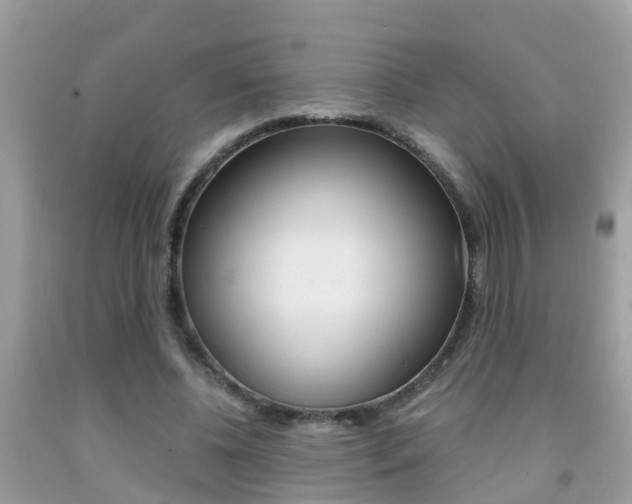 X0000091860540200709050959