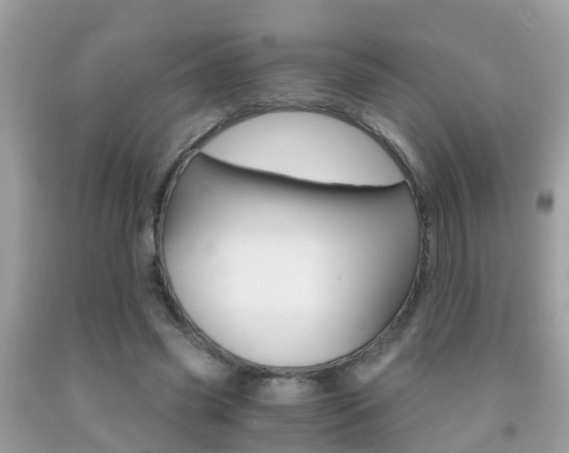 X0000091860541200709050959