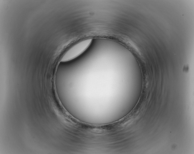 X0000091860542200709050959