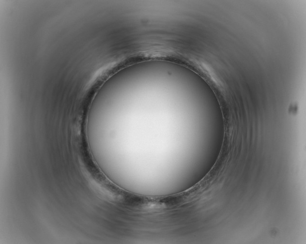 X0000091860543200709050959