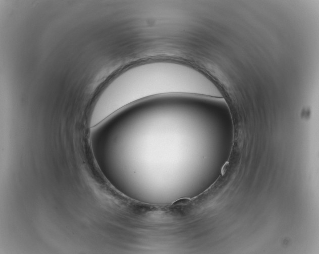X0000091860544200709050959