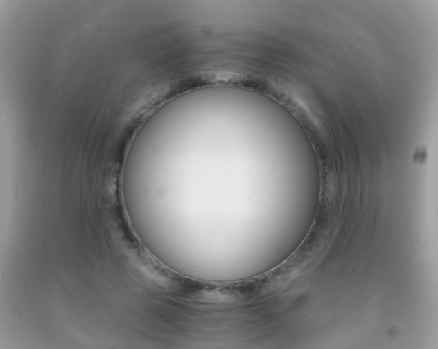 X0000091860545200709050959