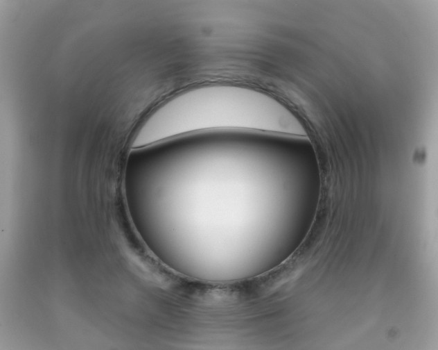 X0000091860546200709050959