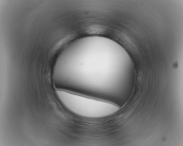 X0000091860547200709050959
