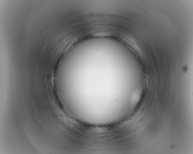 X0000091860549200709050959