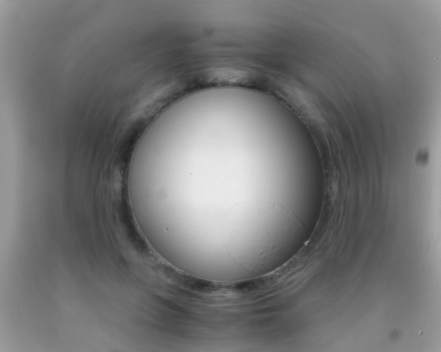 X0000091860551200709050959