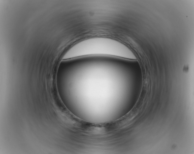 X0000091860552200709050959