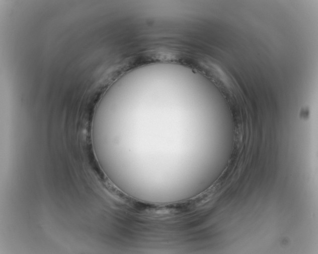 X0000091860553200709050959