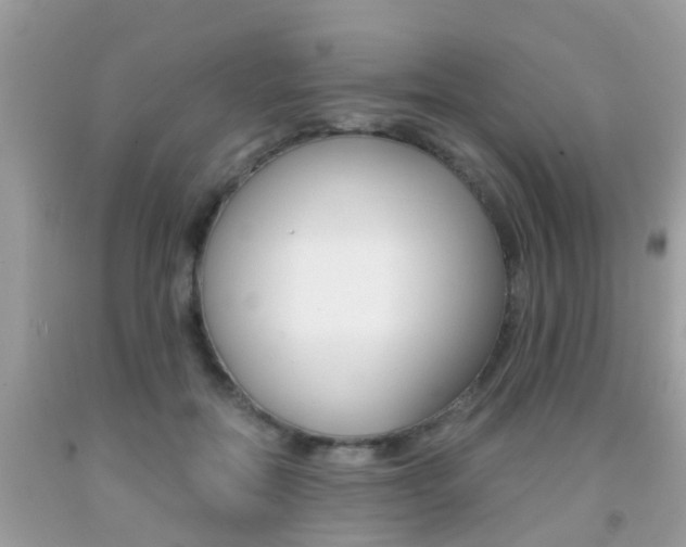 X0000091860554200709050959