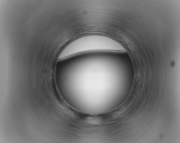 X0000091860556200709050959
