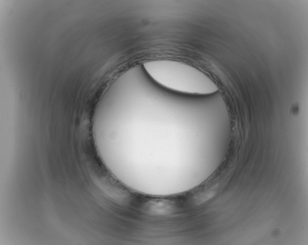 X0000091860557200709050959
