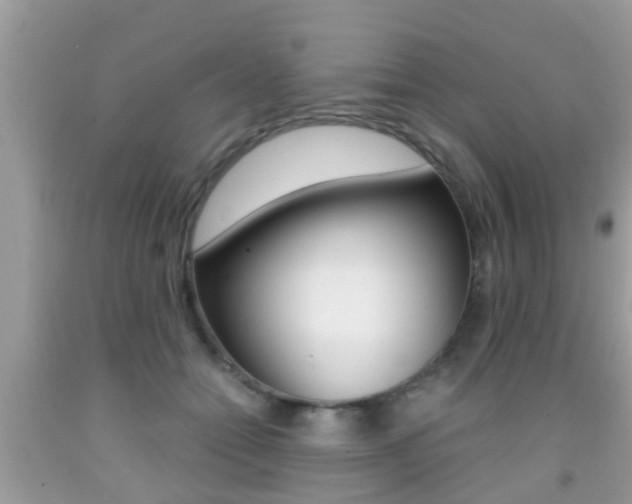 X0000091860558200709050959