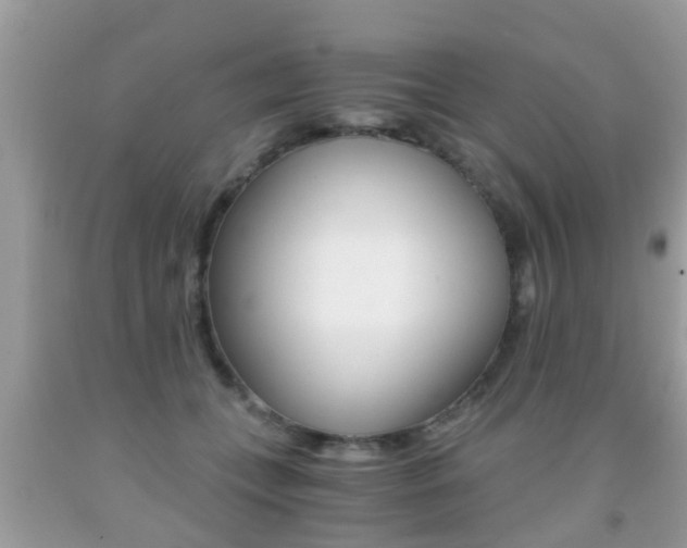 X0000091860559200709050959