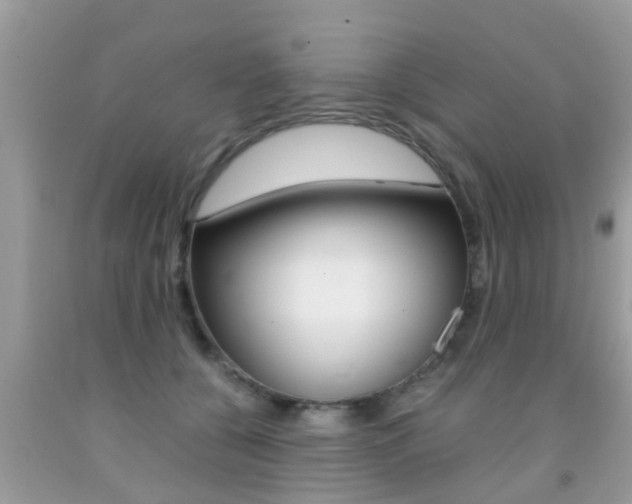 X0000091860560200709050959