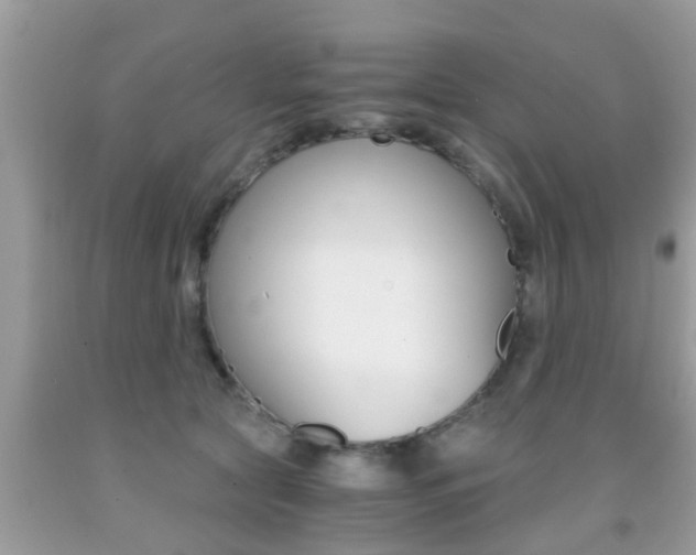 X0000091860561200709050959