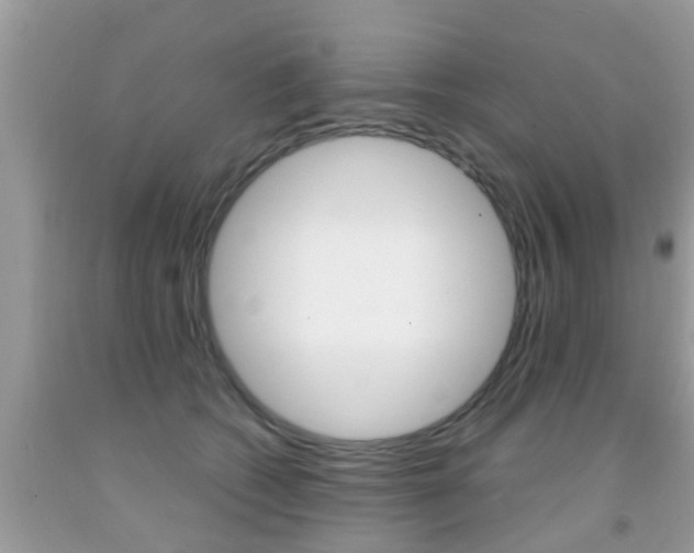 X0000091860562200709050959