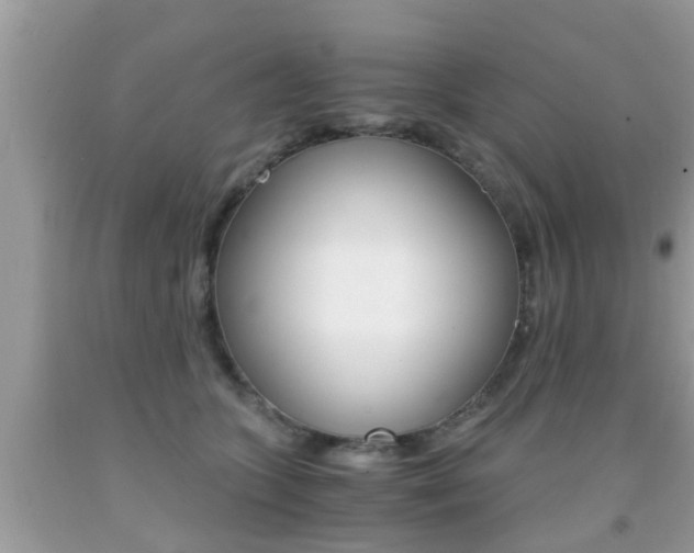 X0000091860563200709050959