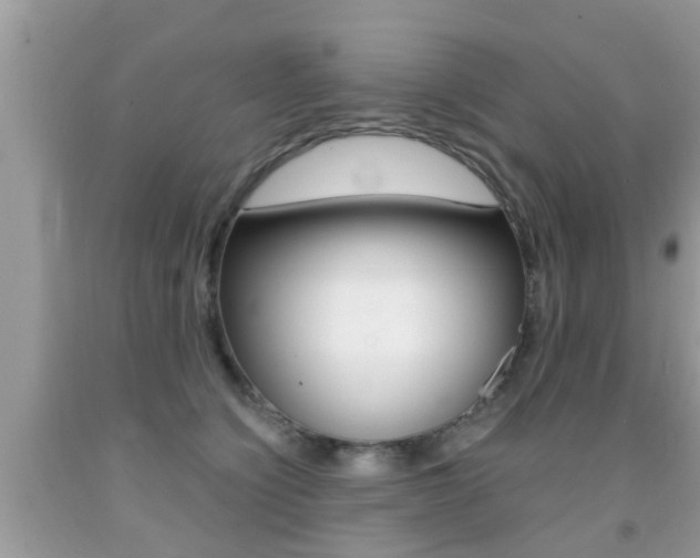 X0000091860564200709050959