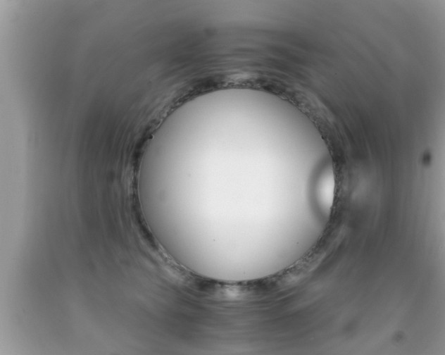 X0000091860565200709050959