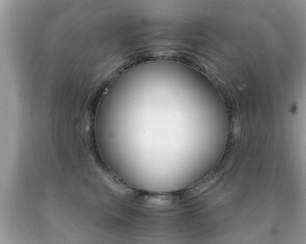 X0000091860567200709050959