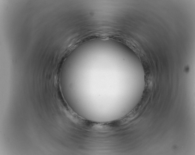 X0000091860568200709050959