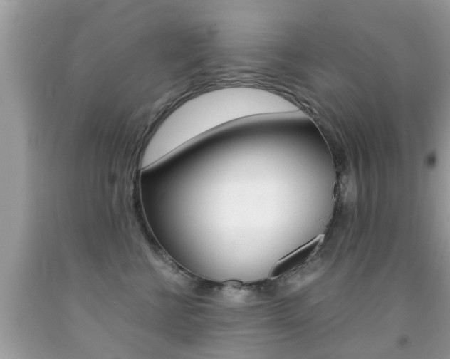 X0000091860570200709050959