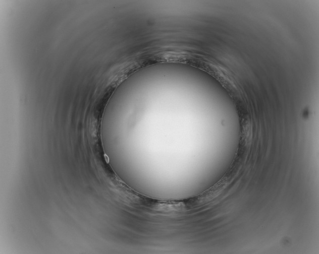 X0000091860571200709050959