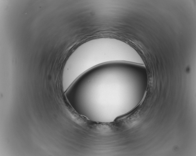 X0000091860572200709050959