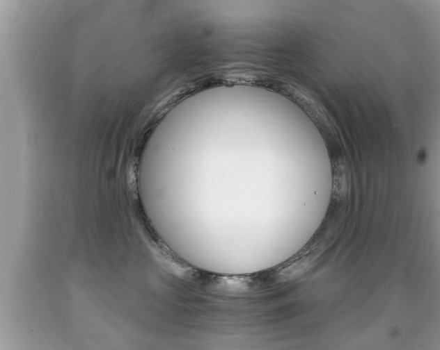 X0000091860573200709050959