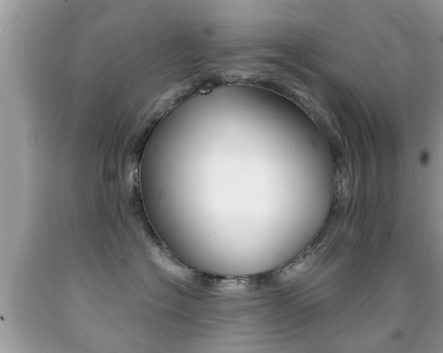 X0000091860574200709050959