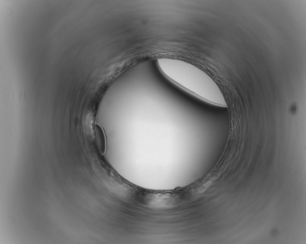 X0000091860575200709050959
