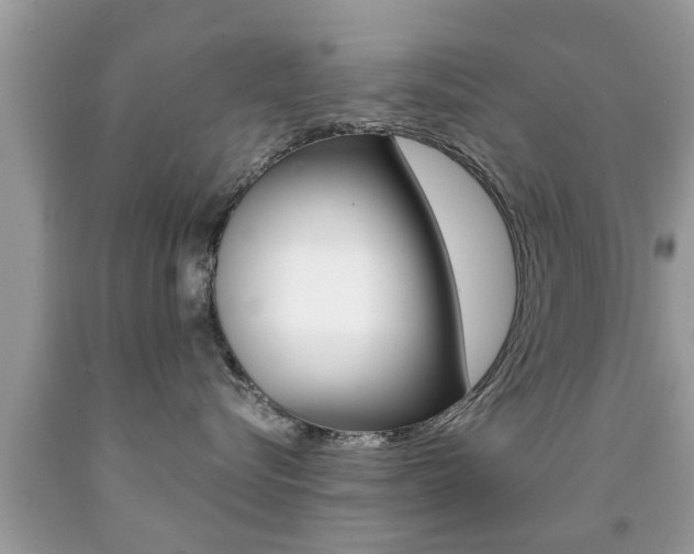 X0000091860576200709050959