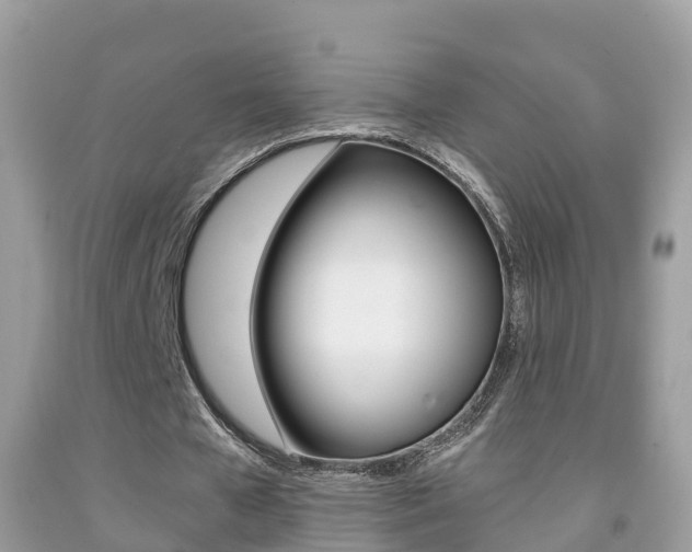 X0000091860577200709050959