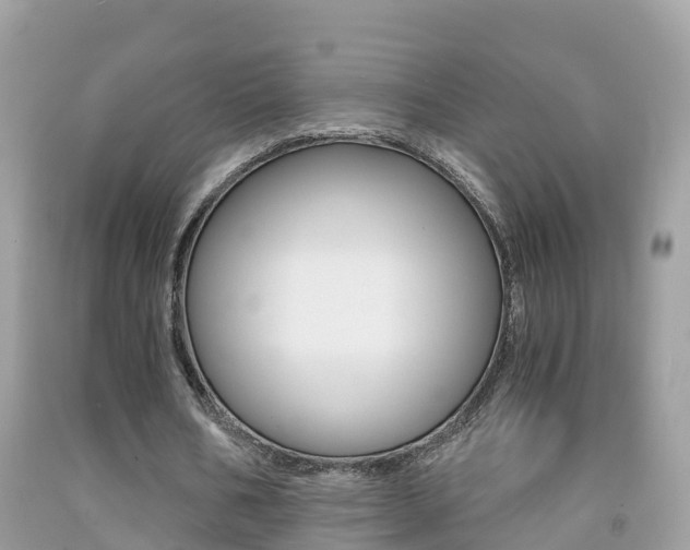 X0000091860578200709050959