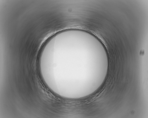 X0000091860579200709050959