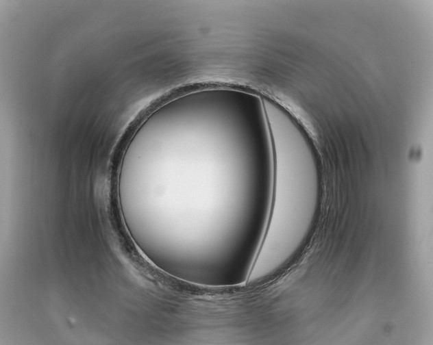X0000091860580200709050959