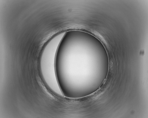 X0000091860581200709050958