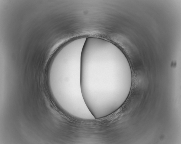 X0000091860583200709050958