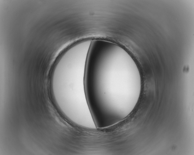 X0000091860584200709050958