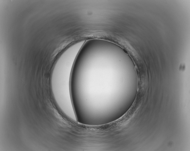 X0000091860585200709050958