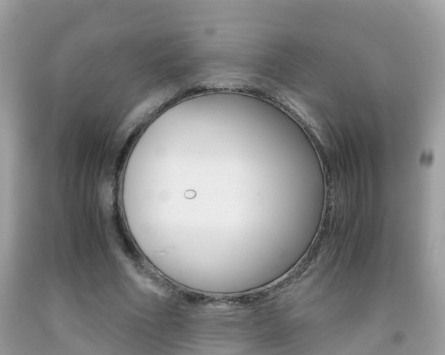 X0000091860586200709050958