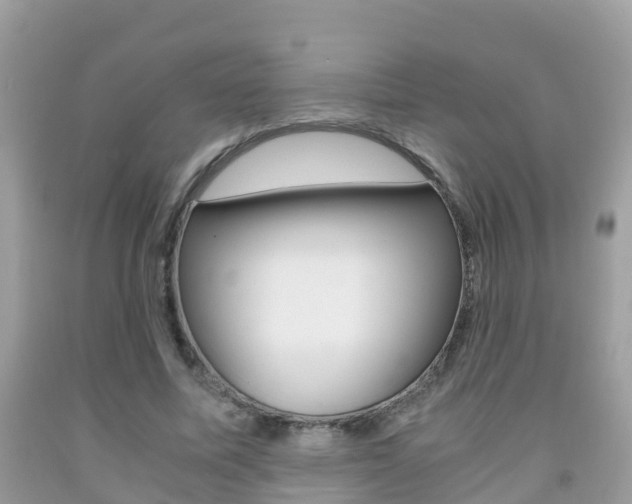 X0000091860587200709050958