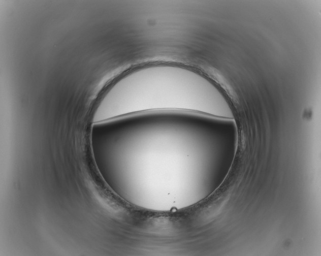 X0000091860588200709050958