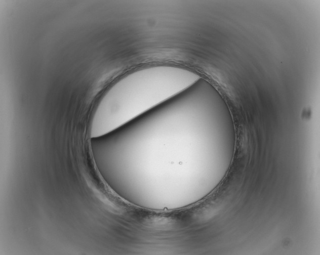 X0000091860590200709050958