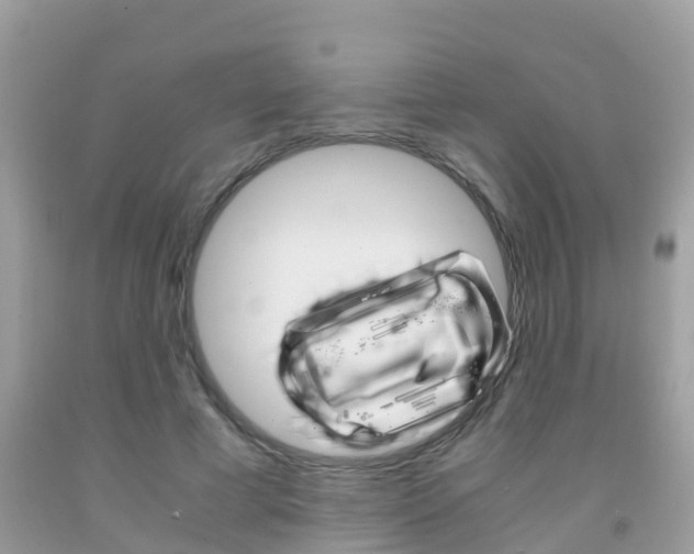 X0000091860593200709050958