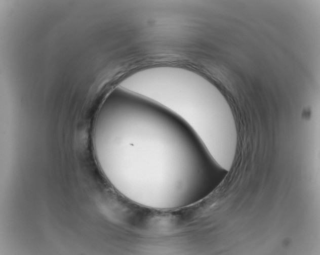 X0000091860595200709050958