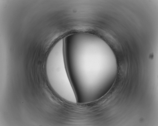 X0000091860596200709050958