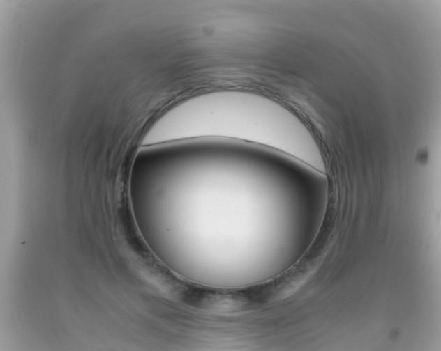 X0000091860597200709050958